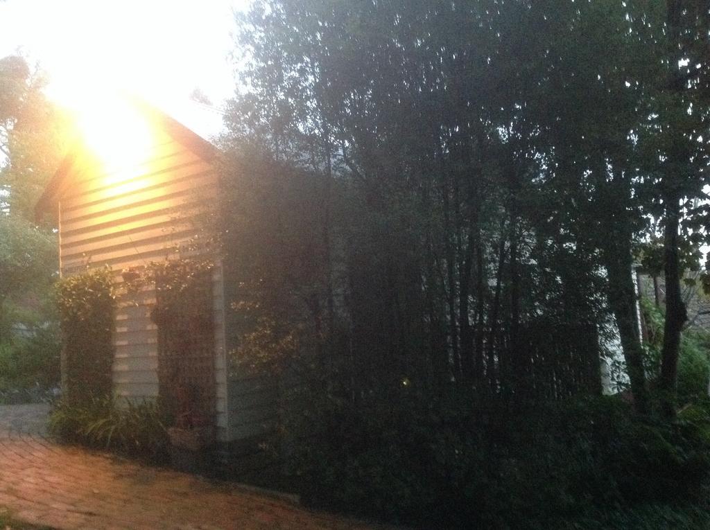 Bed and Breakfast Belgrave Hideaway Exterior foto